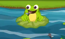 Frog Feast