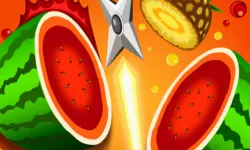 Fast Fruit Master