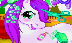 Horse Pet Salon