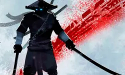 image Ninja Arashi