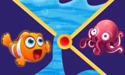 Clownfish Pin Out