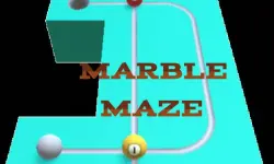 Marble Maze
