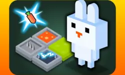 FUNNY BUNNY LOGIC