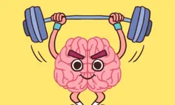 Perfect Brain 3D Puzzle