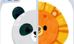 Baby Games Animal Memory Game for Kids