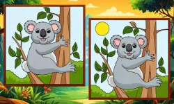 Animal: Find The Differences