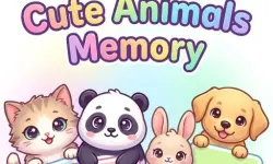cute Animals Memory