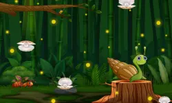 Snail Run