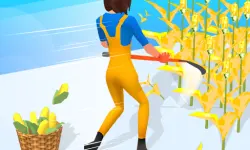 Perfect Job Run
