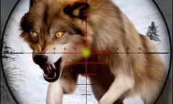 Fox Hunting Sniper Shooting