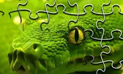 Snakes Jigsaw Puzzle