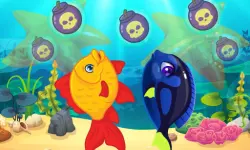 Marine Fish