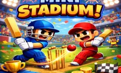 MINI STADIUM