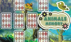 Animals Cards Memory