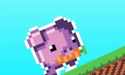 image Toward to Carrot