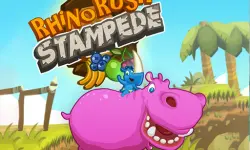 Rhino Rush Stampede