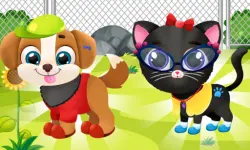 Pets Beauty Salon