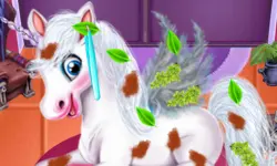 Magic Pet Salon