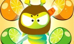 Fruits Ninja Hero