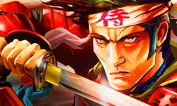 Samurai Reflexion