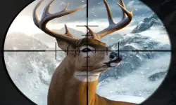 Hunter 3d