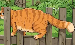 Cat Escape 2026