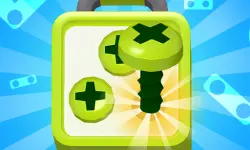 image Screw Sort Puzzle Pin Jam 3D