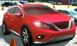 Driving Test Simulator