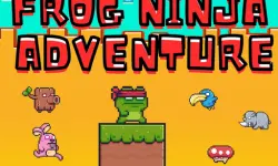Frog Ninja Adventure