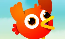 Birdy Trip