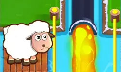 Sheep and road