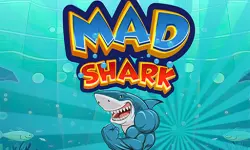 Mad Shark Fish