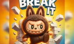 break it