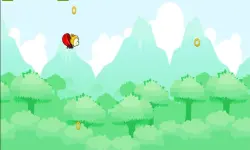 Acorn Flight