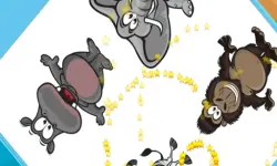 image Zoo Zoom Shapes