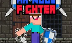 Mr Noob Fighter