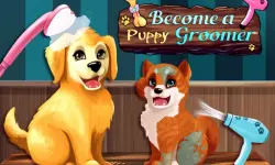 image Become a Puppy Groomer