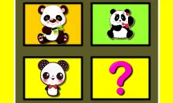 Baby Panda Memory