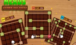 NEXUS : wooden logic puzzle
