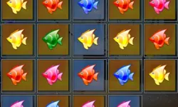 Tiny Fish Factory