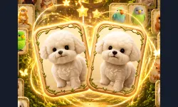 Animal Pair Card Match