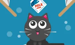 The Cat Drink Milk