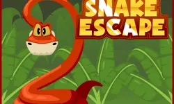 Snake Escape