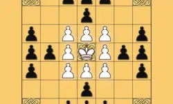 Tafl: viking chess