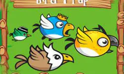 Bird Trap