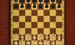 Chess Master King