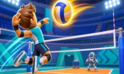 Funny Volleyball