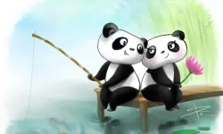 Pandas Slide