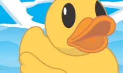 Help The Duck