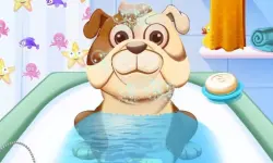 Animal Daycare